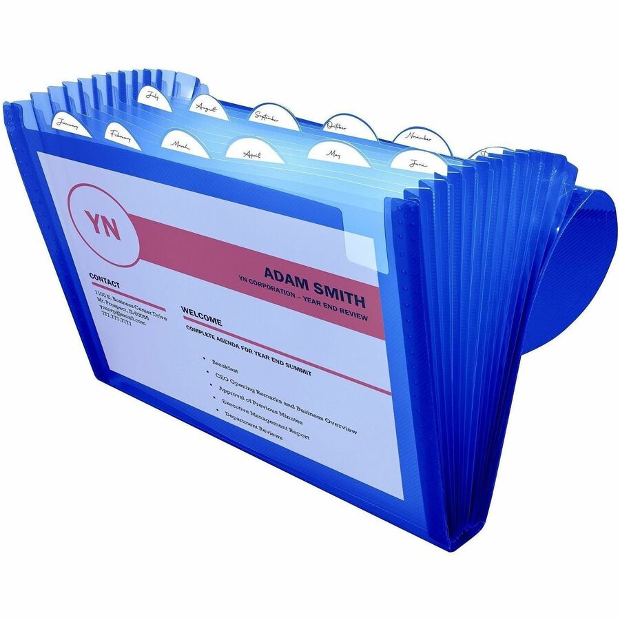 8 1/2" x 11" - 13 Pocket(s) - Polypropylene - Blue - Acid-free, Non-toxic, Button Closure - 0% Recycled - 1 Each