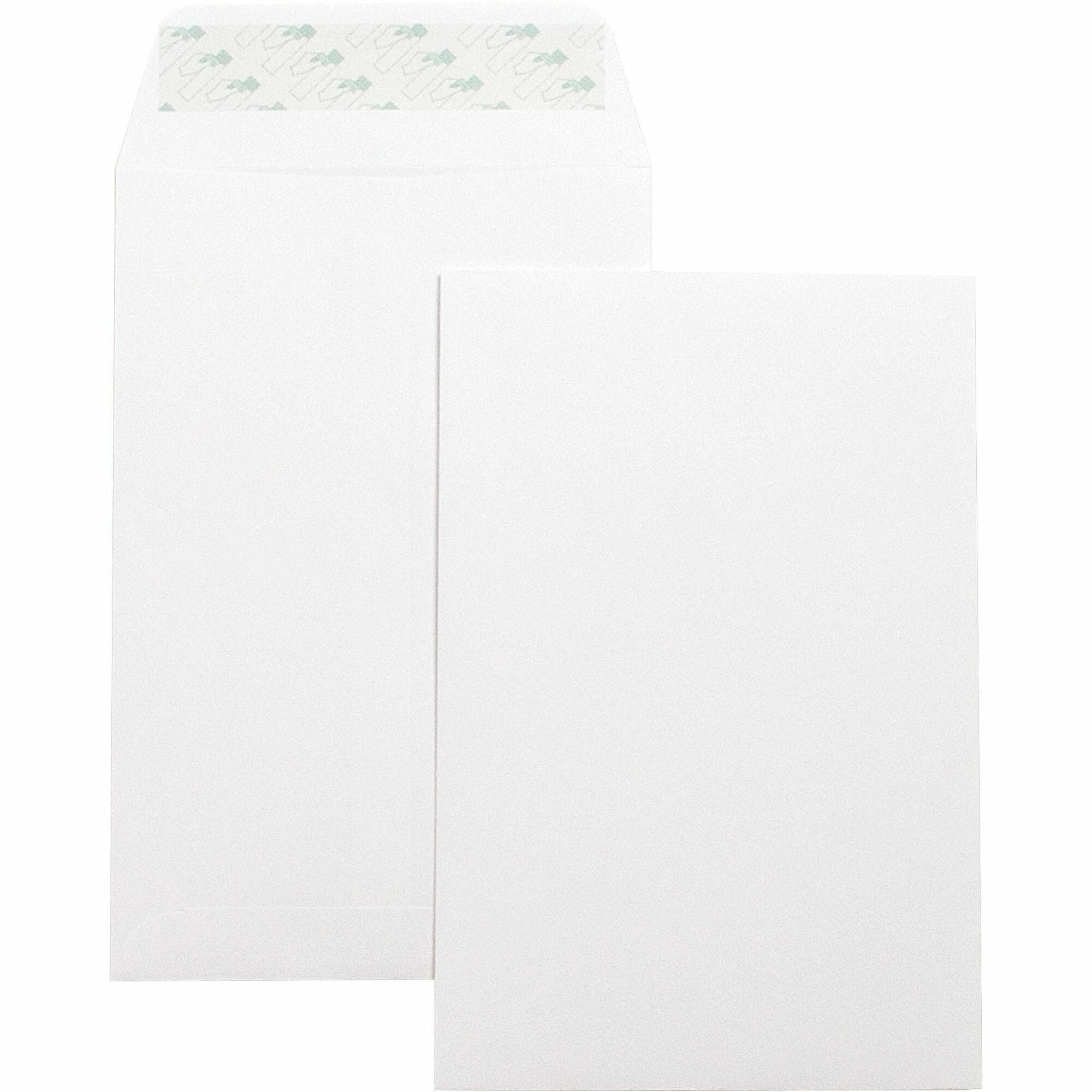 Business Source Self-Seal 6"x9" Catalog Envelopes