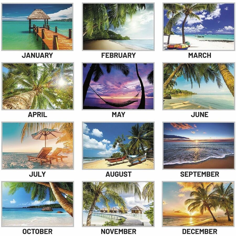 At-A-Glance Tropical Escape Wall Calendar