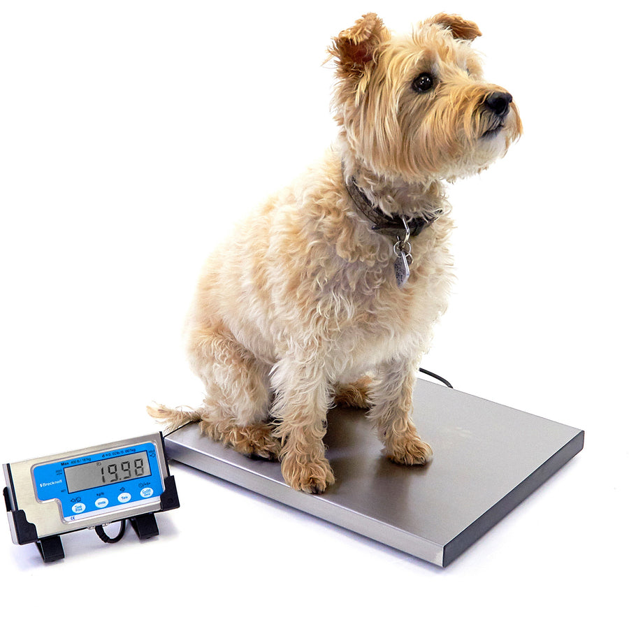 Brecknell Portable Shipping Scale