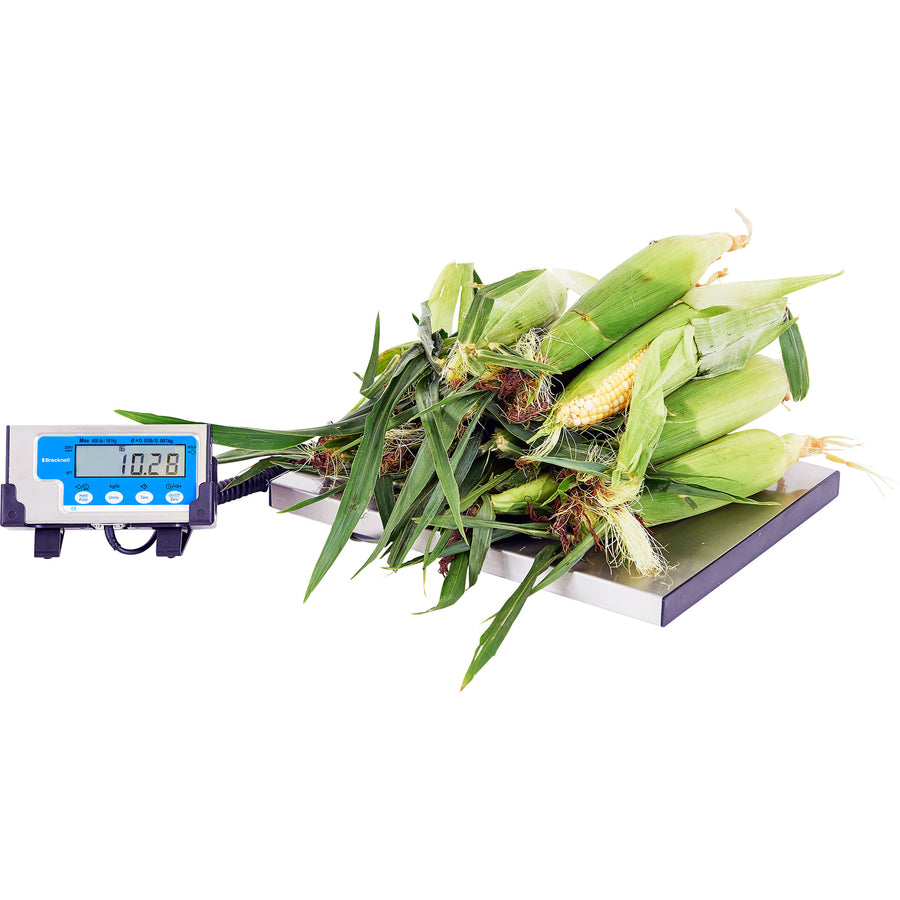 Brecknell Portable Shipping Scale