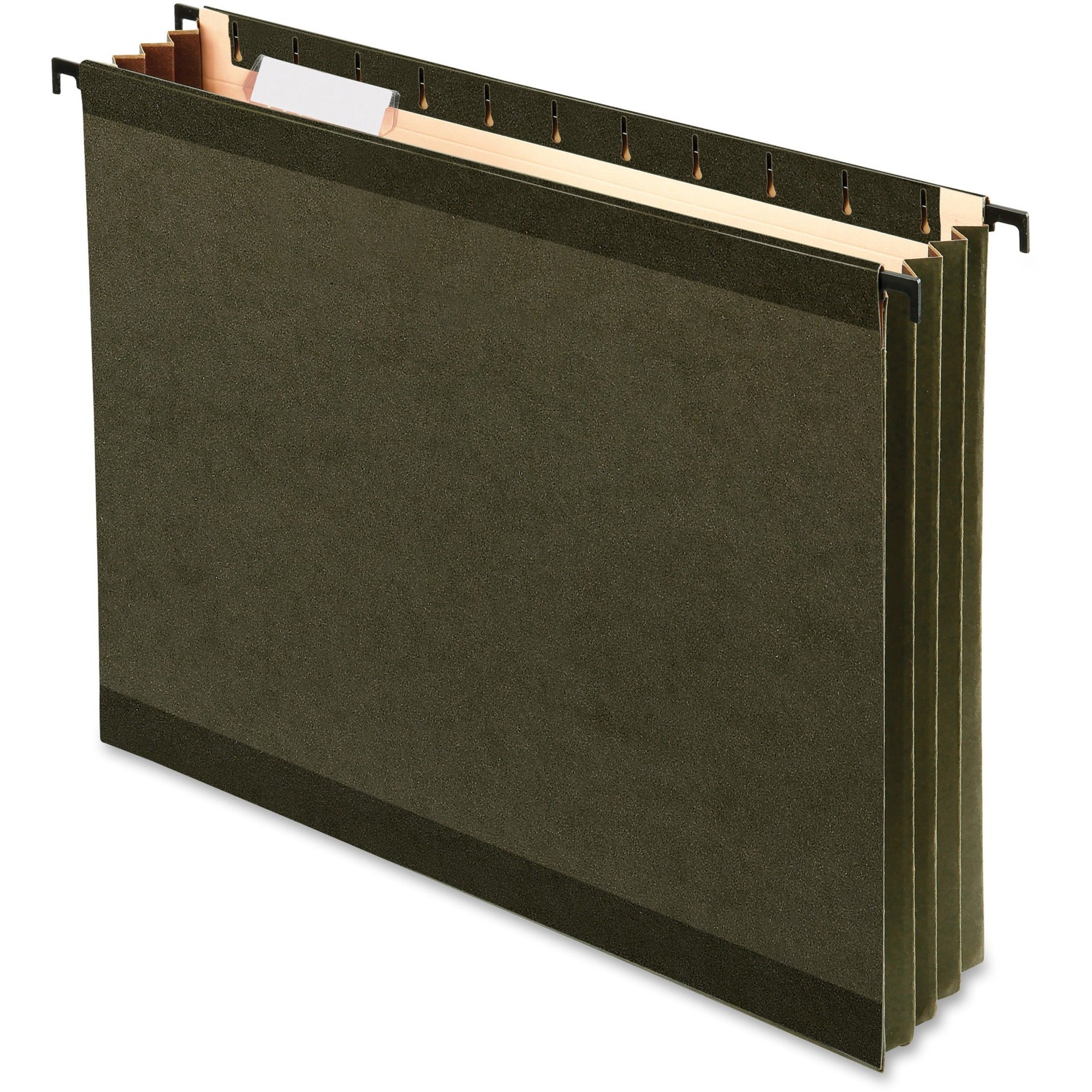 Pendaflex SureHook Letter Size Recycled Hanging Folders, 3-1/2" Expansion, 11 pt. Poly, Standard Green, Reinforced, Acid-Free, 4 Pack