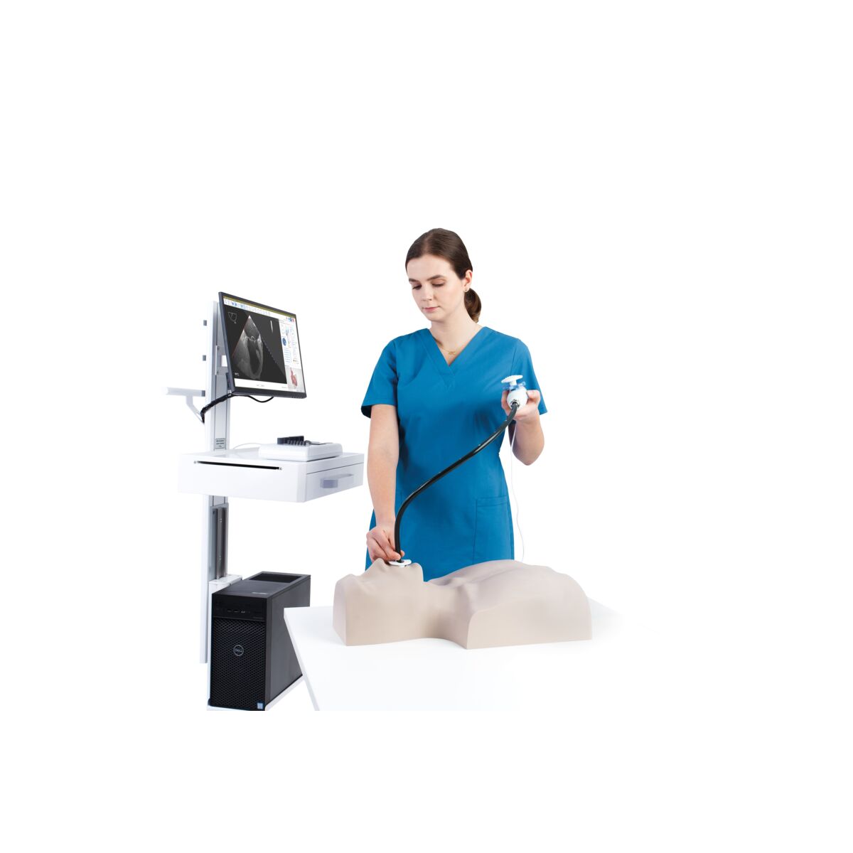 MrTEEmothy® Expert Transesophageal Echocardiography Simulator