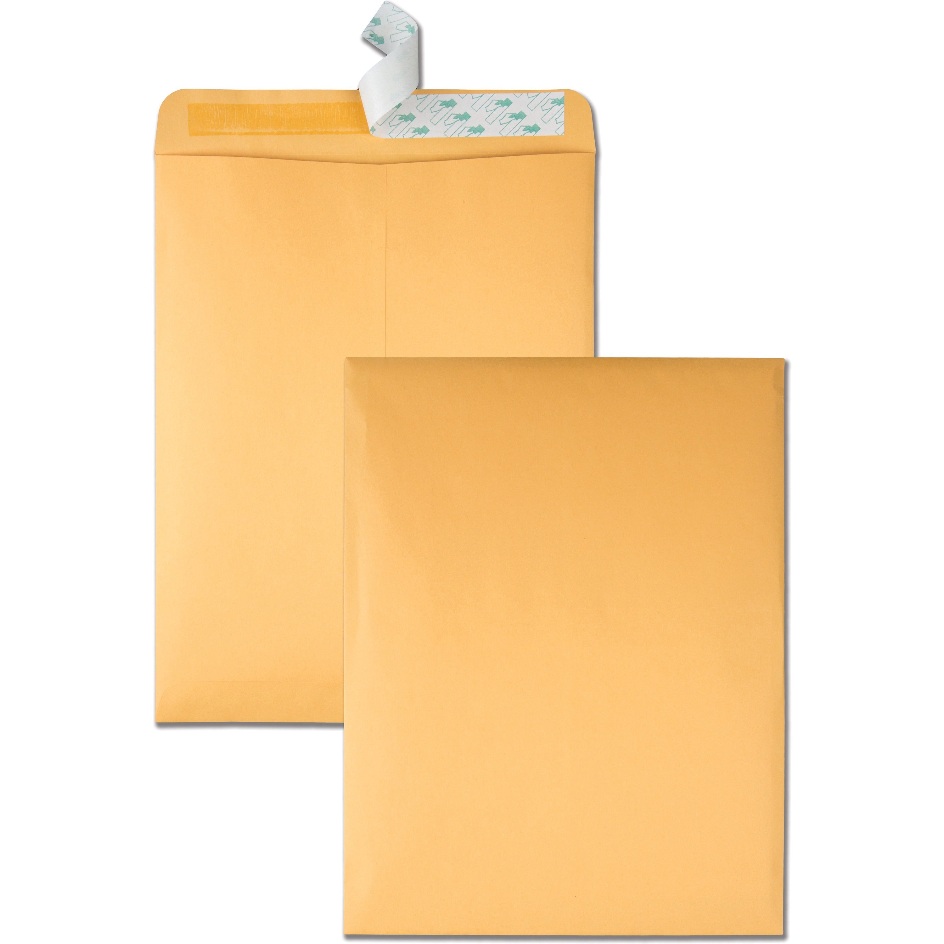 Catalog - 10" Width x 13" Length - 24 lb - Peel & Seal - Brown Kraft - Kraft - 250 / Carton