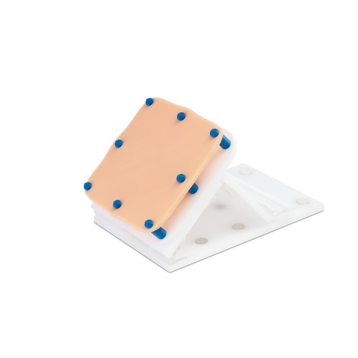 Training Module Holder with Adjustable Angle
