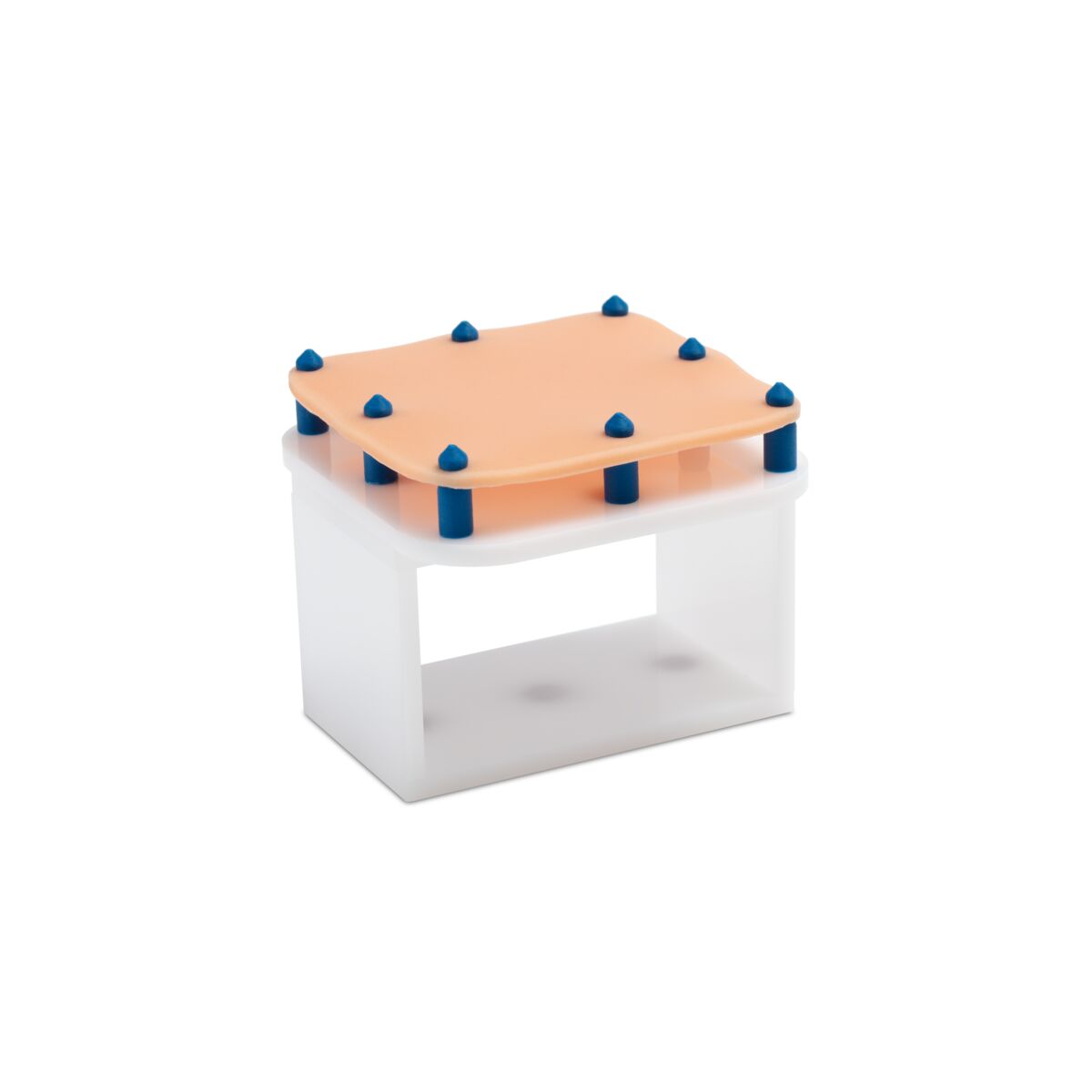 Training Module Platform