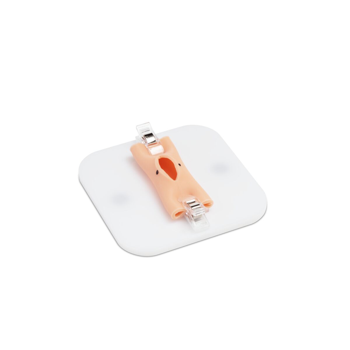 Training Module Anastomosis