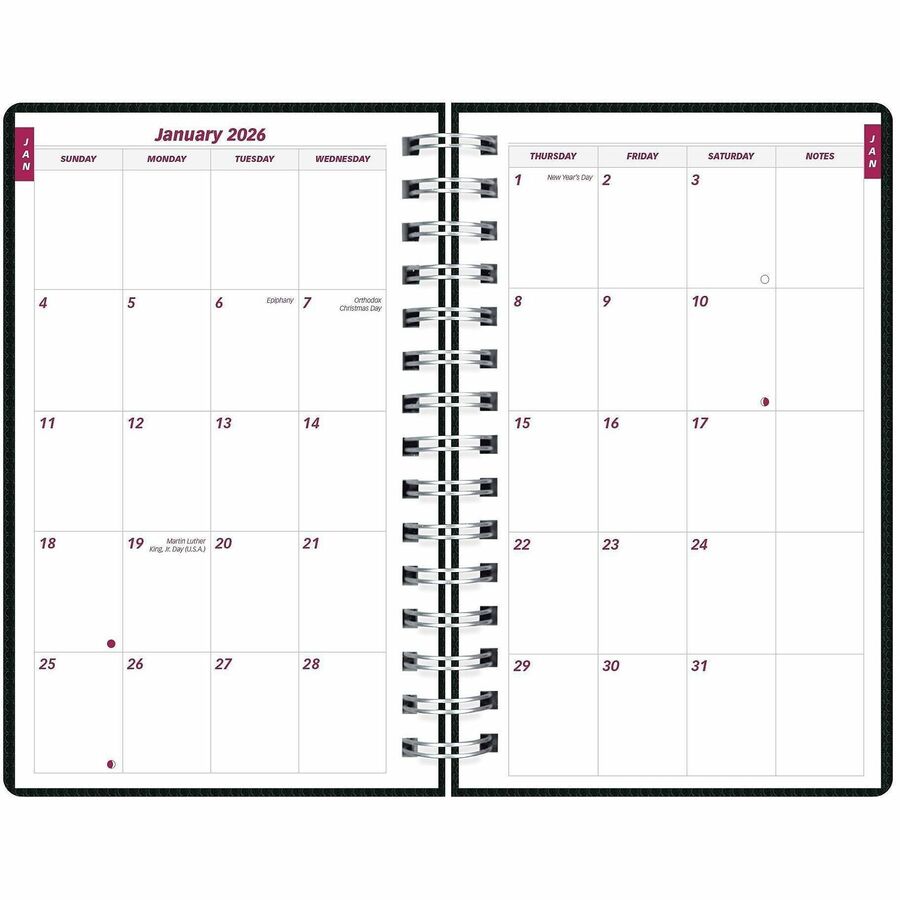 Brownline DuraFlex Daily Appointment Book / Monthly Planner