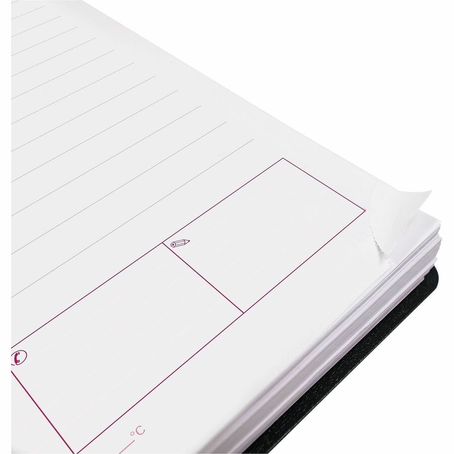 Brownline DuraFlex Daily Appointment Book / Monthly Planner