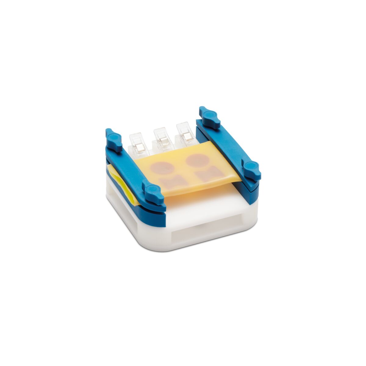 Dissection Training Module 3 in 1