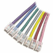 APC by Schneider Electric Cat5 Patch Cable - 40 ft Category 5 Network Cable - First End: 1 x RJ-45 - Male - Second End: 1 x RJ-45 - Male - Patch Cable - Gray - 1 Each