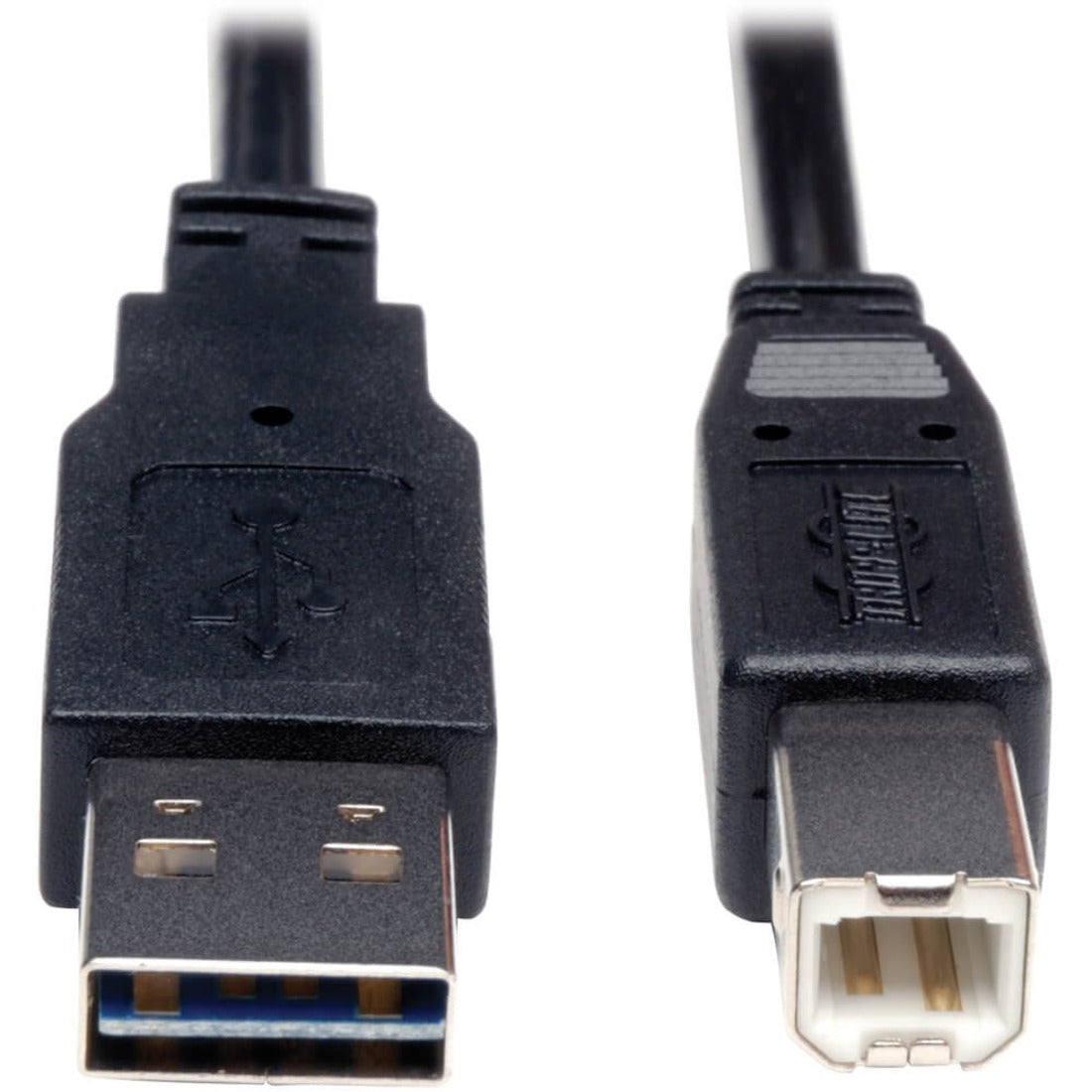 6 ft USB Data Transfer Cable - First End: 1 x 4-pin USB 2.0 Type A - Male - Second End: 1 x 4-pin USB 2.0 Type B - Male - Shielding - Nickel Plated Connector - Gold Plated Contact - Black - 1 Each