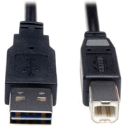 6 ft USB Data Transfer Cable - First End: 1 x 4-pin USB 2.0 Type A - Male - Second End: 1 x 4-pin USB 2.0 Type B - Male - Shielding - Nickel Plated Connector - Gold Plated Contact - Black - 1 Each