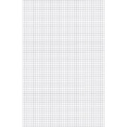 Ampad Graph Pad, 11" x 17", Tabloid Size, 50 Sheets, Both Side Quad Ruling, 15 lb White Paper, Chipboard Backing, Smudge Resistant, 1 Pad