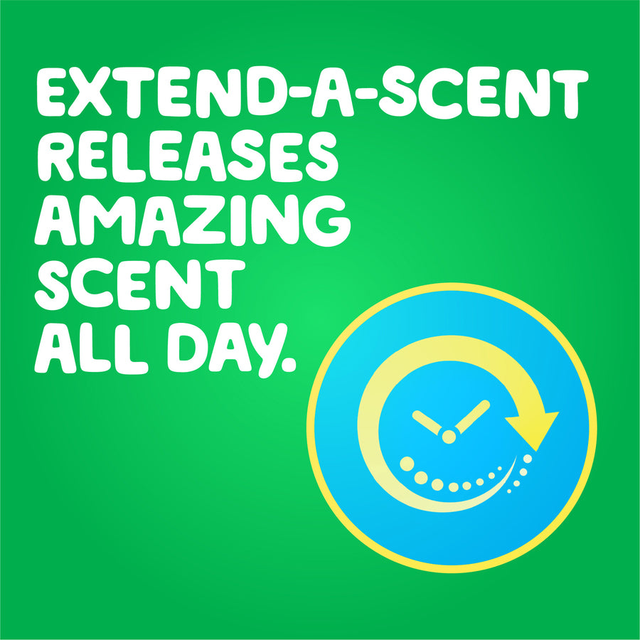 For Clothing, Laundry - 25 fl oz (0.8 quart) - Original Scent - Recommended For: Dirt Remover - Green - 6 / Carton