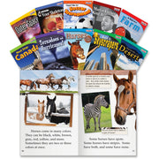 Book - Grade 2 - English