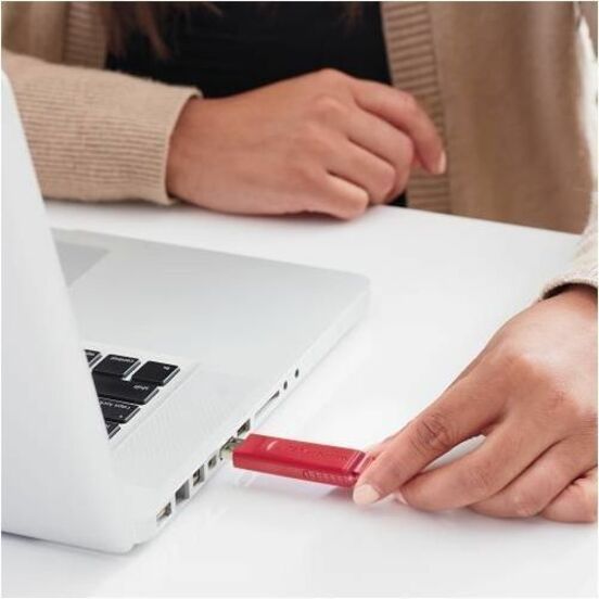 128 GB - USB 2.0 Type A - Red - Lifetime Warranty - 1 Each