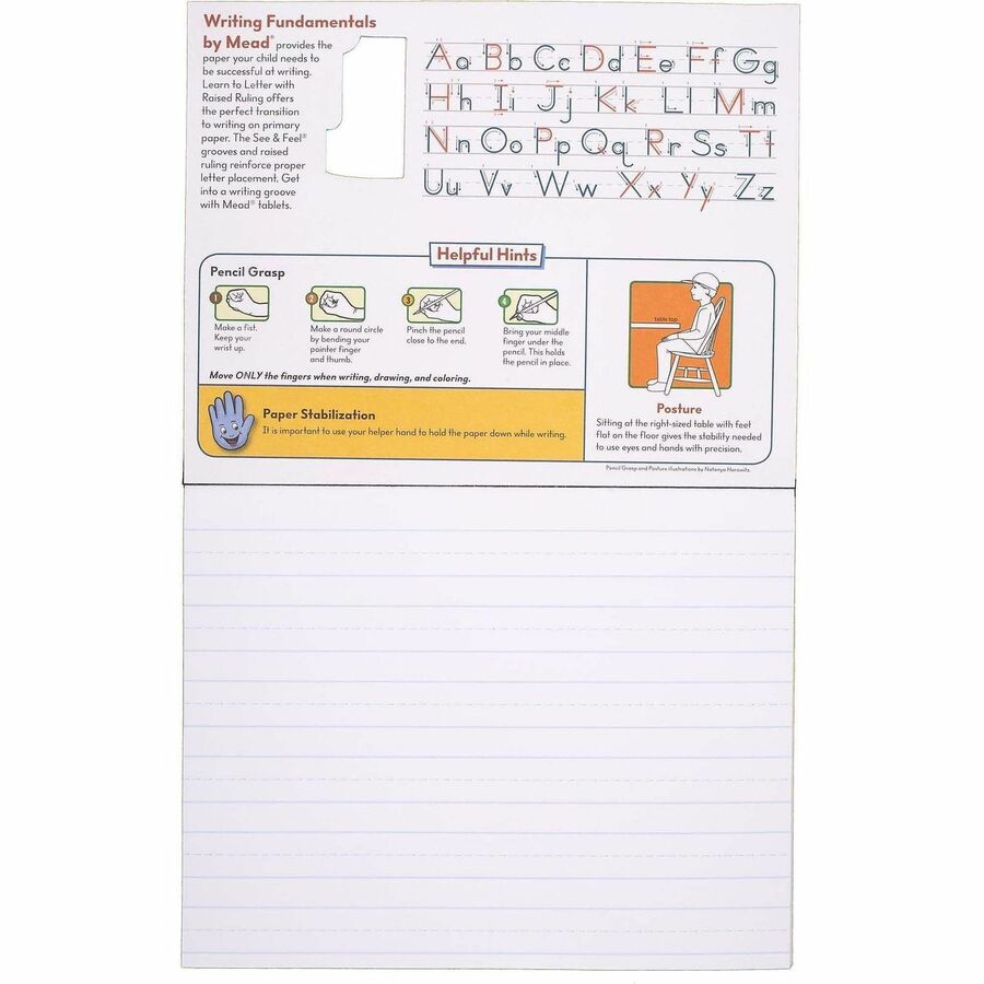 Mead Learn To Letter Writing Book Printed Book