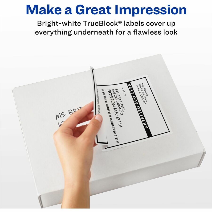 5 1/2" Width x 8 1/2" Length - Permanent Adhesive - Rectangle - Laser - Matte - White - Paper - Permanent Adhesive, Jam Resistant, Smudge Resistant, Customizable, Stick & Stay - 2 / Sheet - 500 Total Sheets - 1000 Total Label(s) - 500 / Carton