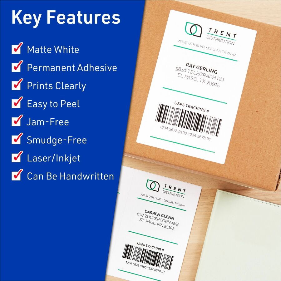 Avery&reg; Shipping Address Labels, 250 Labels, Full Sheet Labels, Permanent (95920)