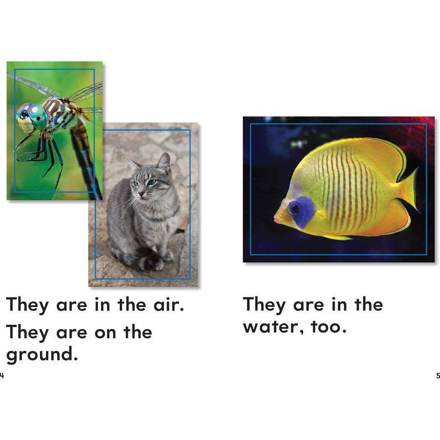 Shell Education Grade K Time for Kids Book Set 1 Printed Book