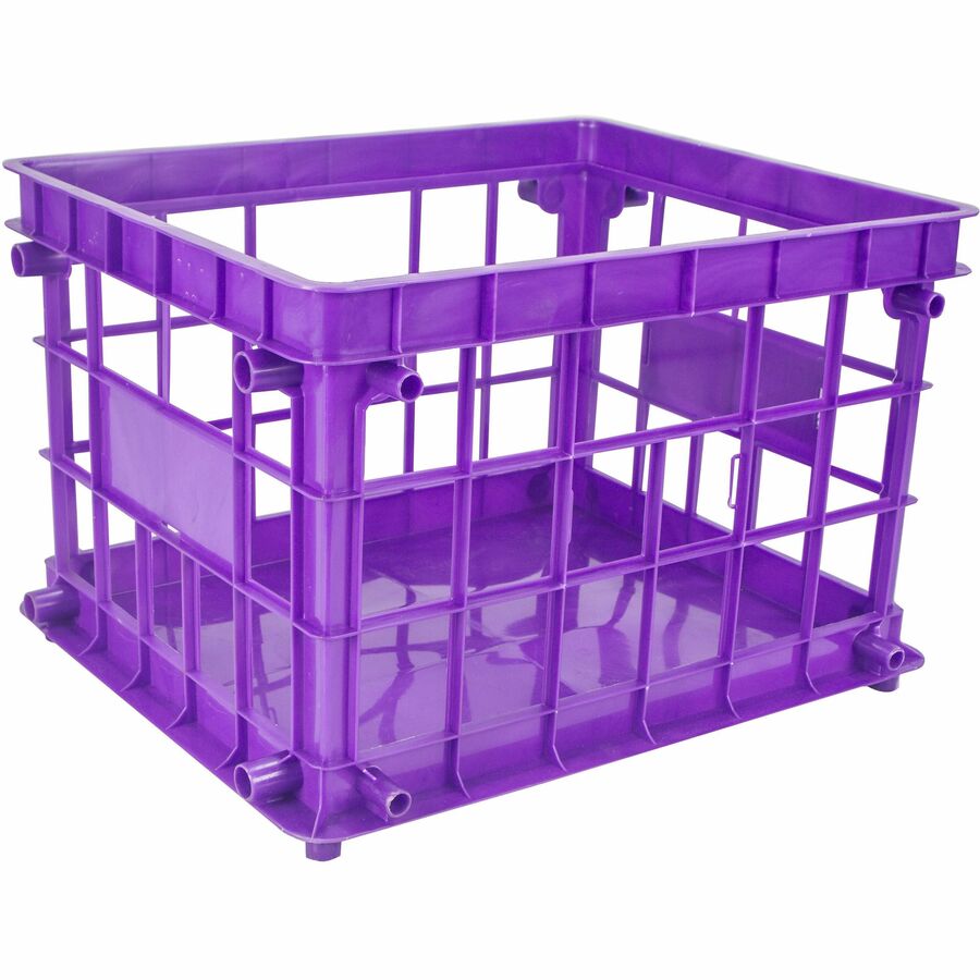 Storex Storage Crate