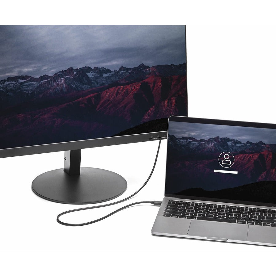 StarTech.com 6 ft. (1.8 m) USB-C To DisplayPort Cable - 4K 60Hz - Black