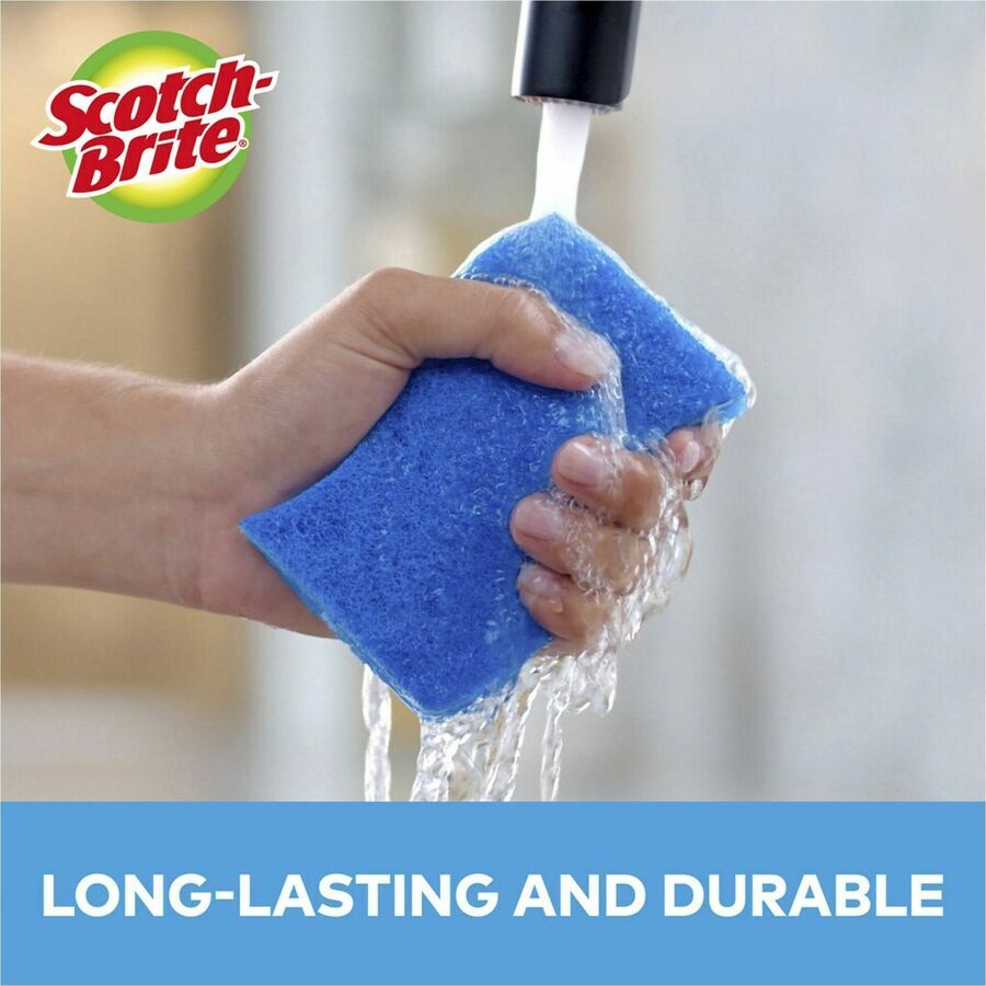 Scotch-Brite No Scratch Scrub Sponges - 2.8" Height x 4.5" Width x 4.5" Length x 590 mil Thickness - 3/Pack - 8 / Carton - Blue