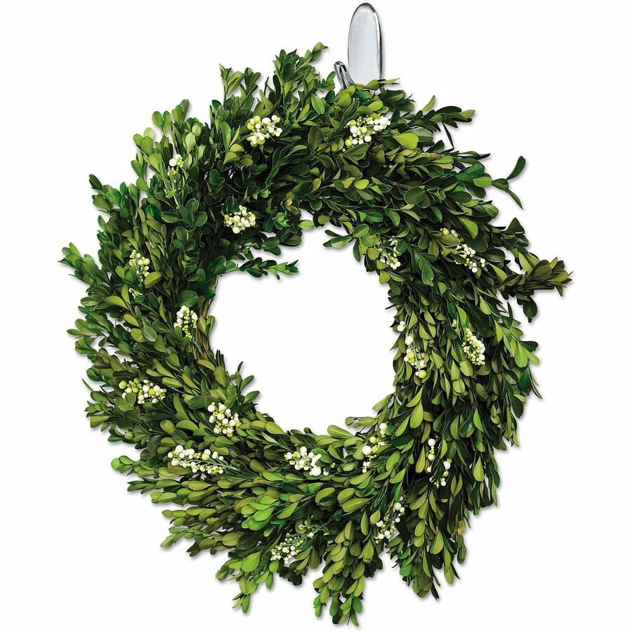 2 lb (907.2 g) Capacity - for Decoration - Plastic - 2 / Pack