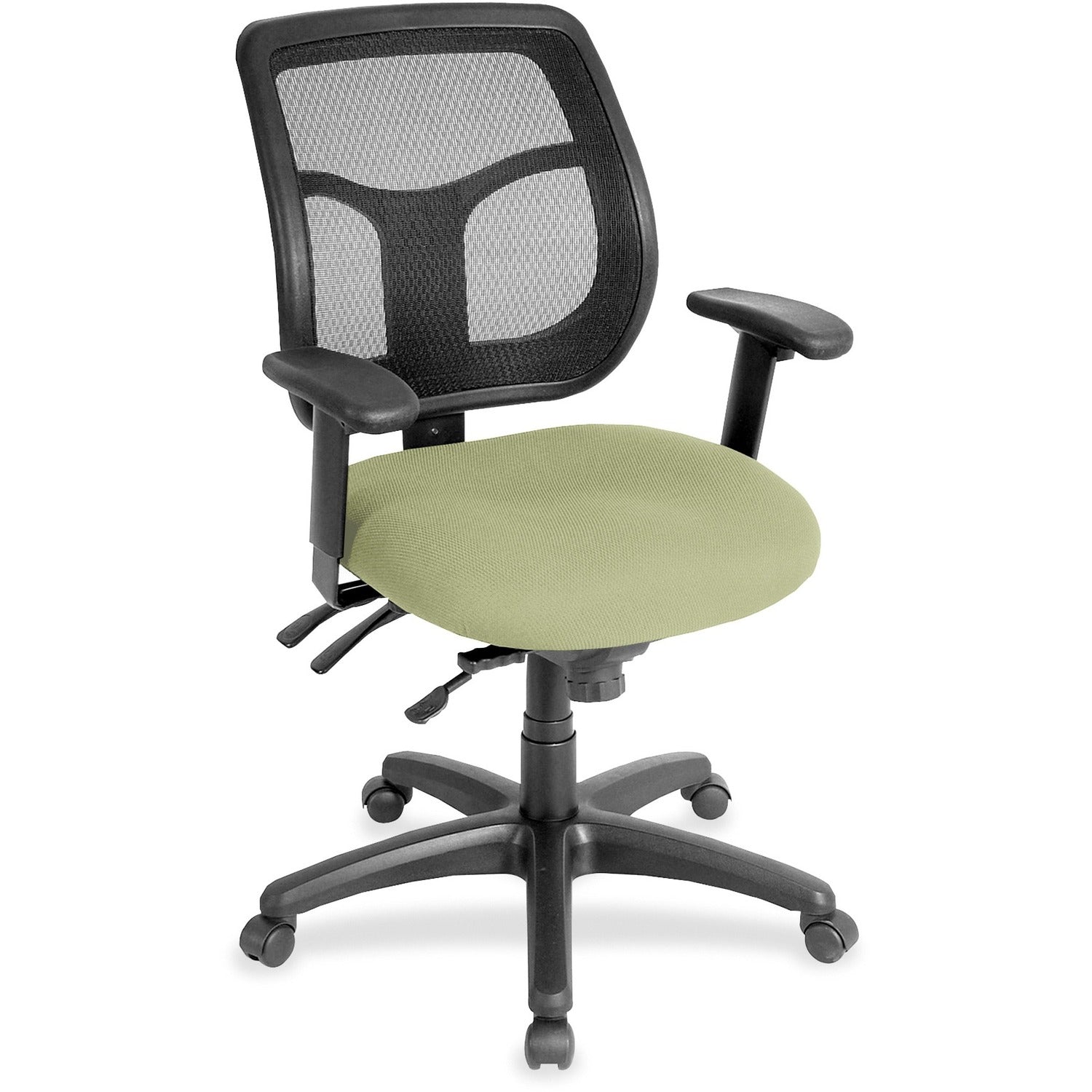 Eurotech Apollo Multi-Function Task Chair, Sage Fabric/Vinyl Seat, Mesh Back, 5-Star Base, Adjustable Arms, 1 Each