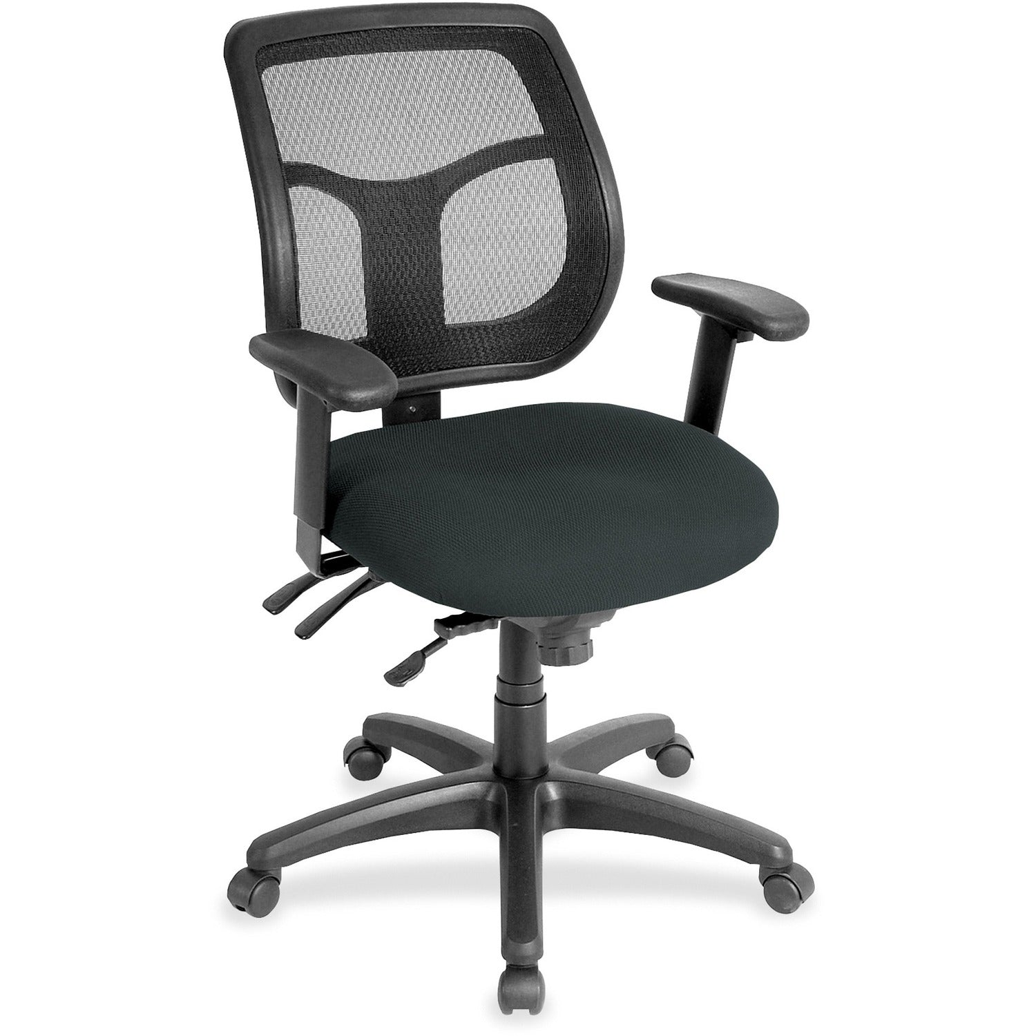 Eurotech Apollo Multi-Function Task Chair, Black Fabric/Vinyl Seat, Mesh Back, Adjustable Arms, 5-Star Base, 1 Each