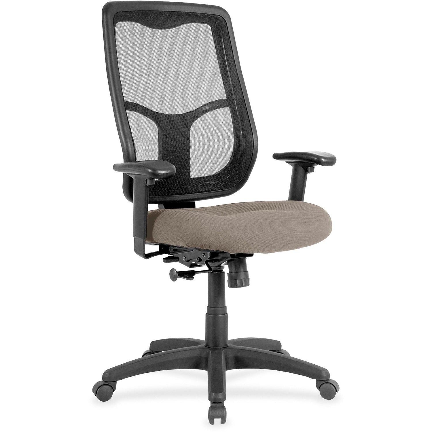 Eurotech Apollo High Back Synchro Task Chair, Stratus Color, Fabric/Vinyl, Mesh Back, 5-Star Base, Adjustable Arms, 1 Each