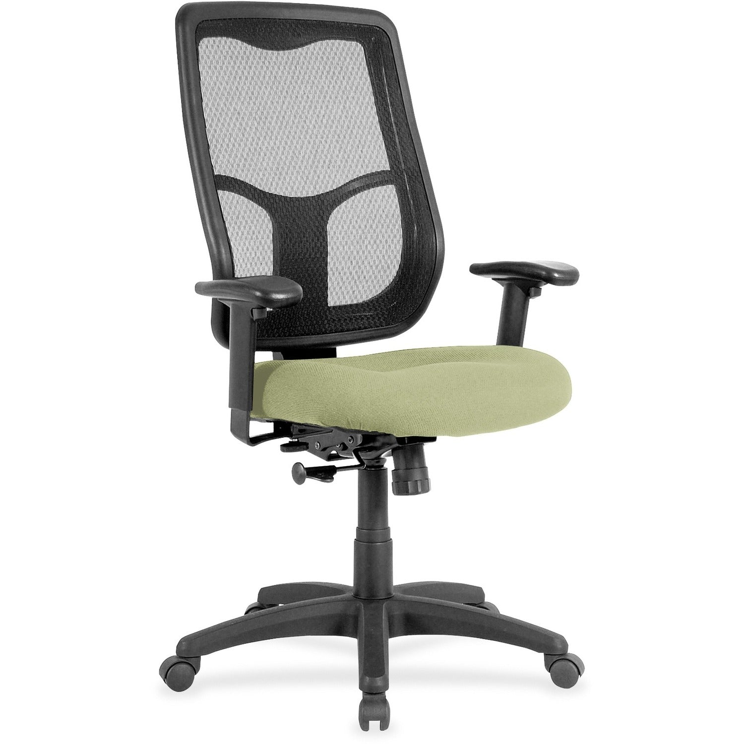 Eurotech Apollo High-back Chair with Ratchet Back, Sage Fabric/Vinyl, Mesh High Back, 5-star Base, Adjustable Arms, Dillon Sage, 1 Each