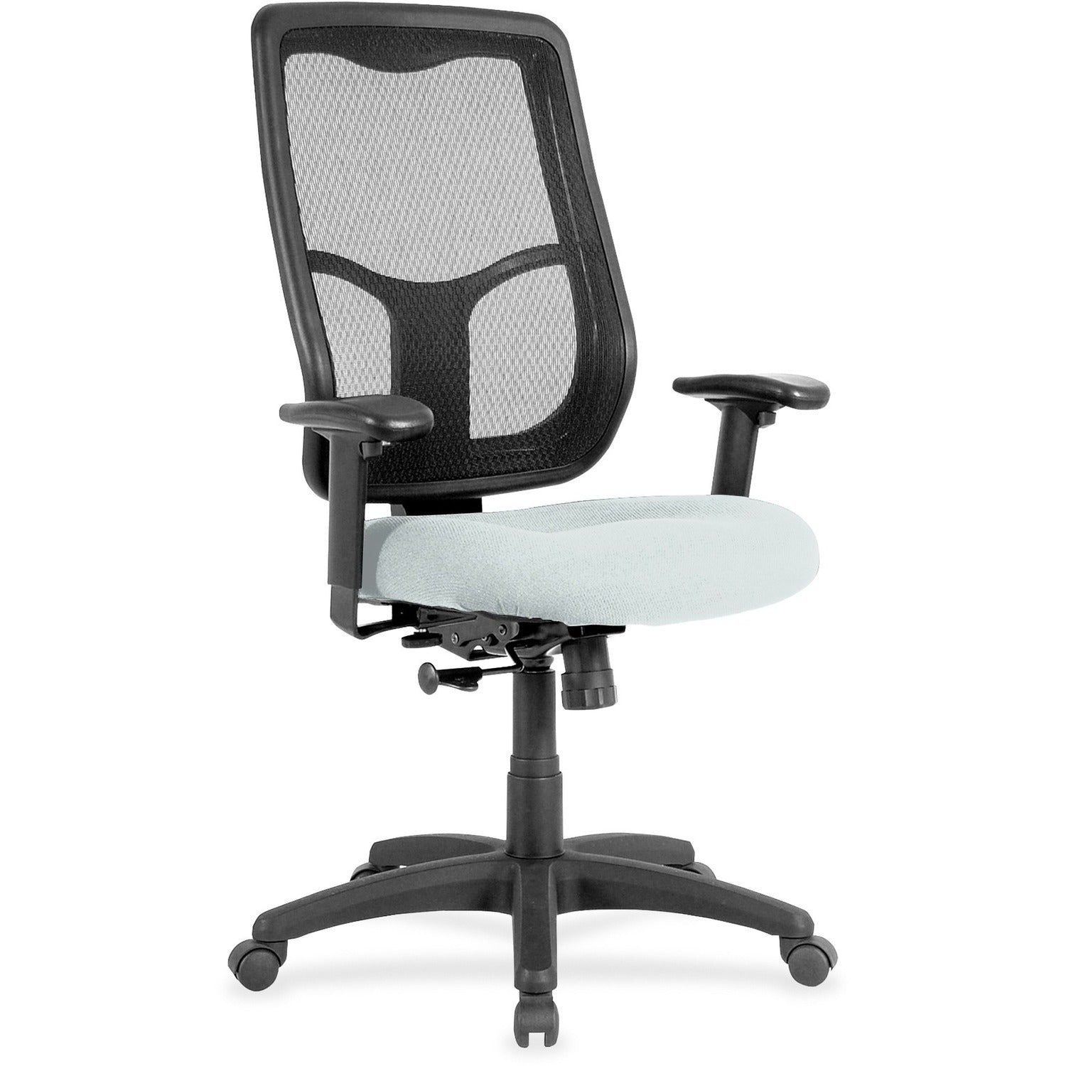 Eurotech Apollo High-back Chair with Ratchet Back, Breezy Gray Fabric/Vinyl, Mesh High Back, 5-star Base, Adjustable Arms, 1 Each