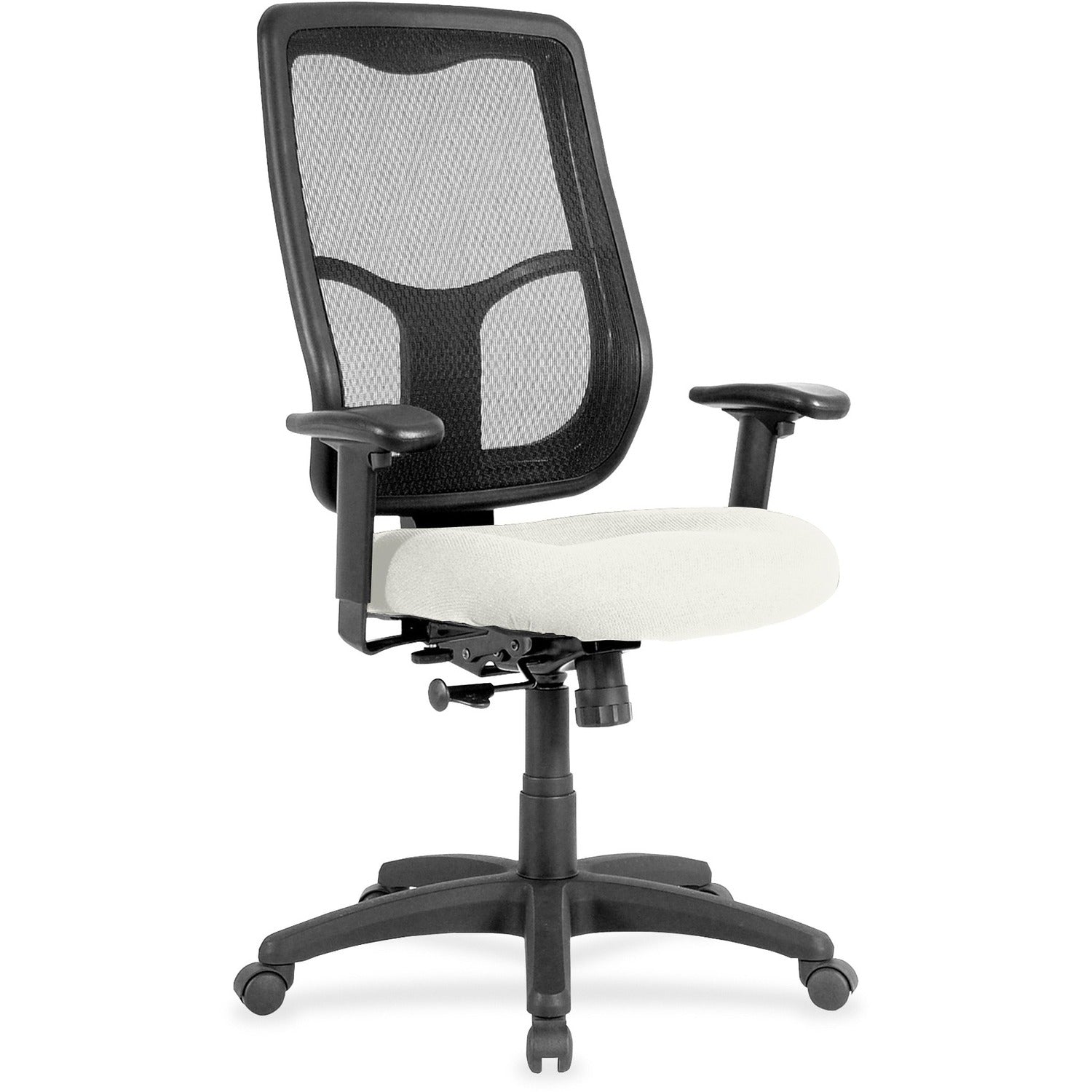 Eurotech Apollo High-back Chair with Ratchet Back, Snow Color, Fabric/Vinyl, Mesh High Back, 5-star Base, Adjustable Arms, 1 Each
