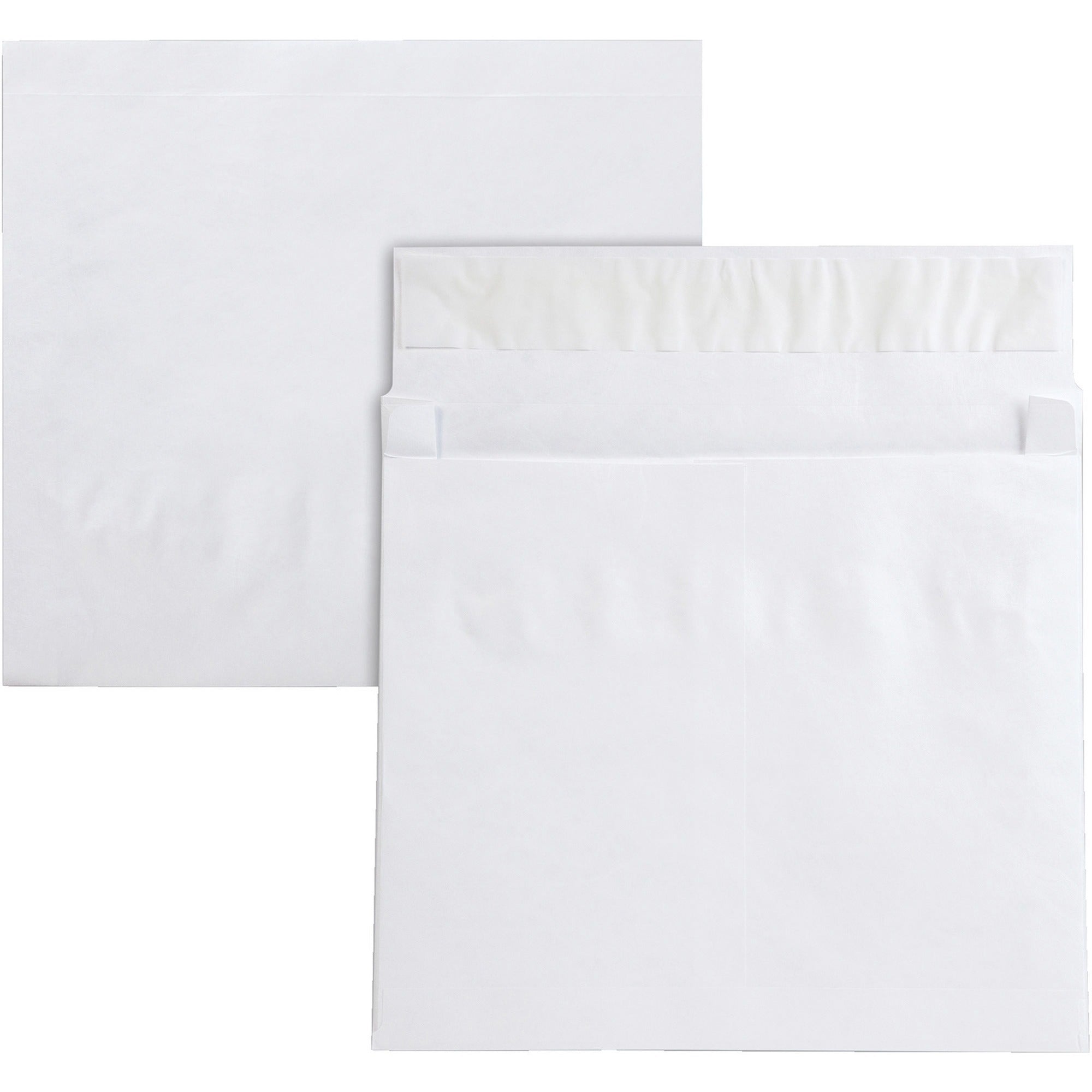 Expansion - Peel & Seal - Tyvek - 25 / Pack
