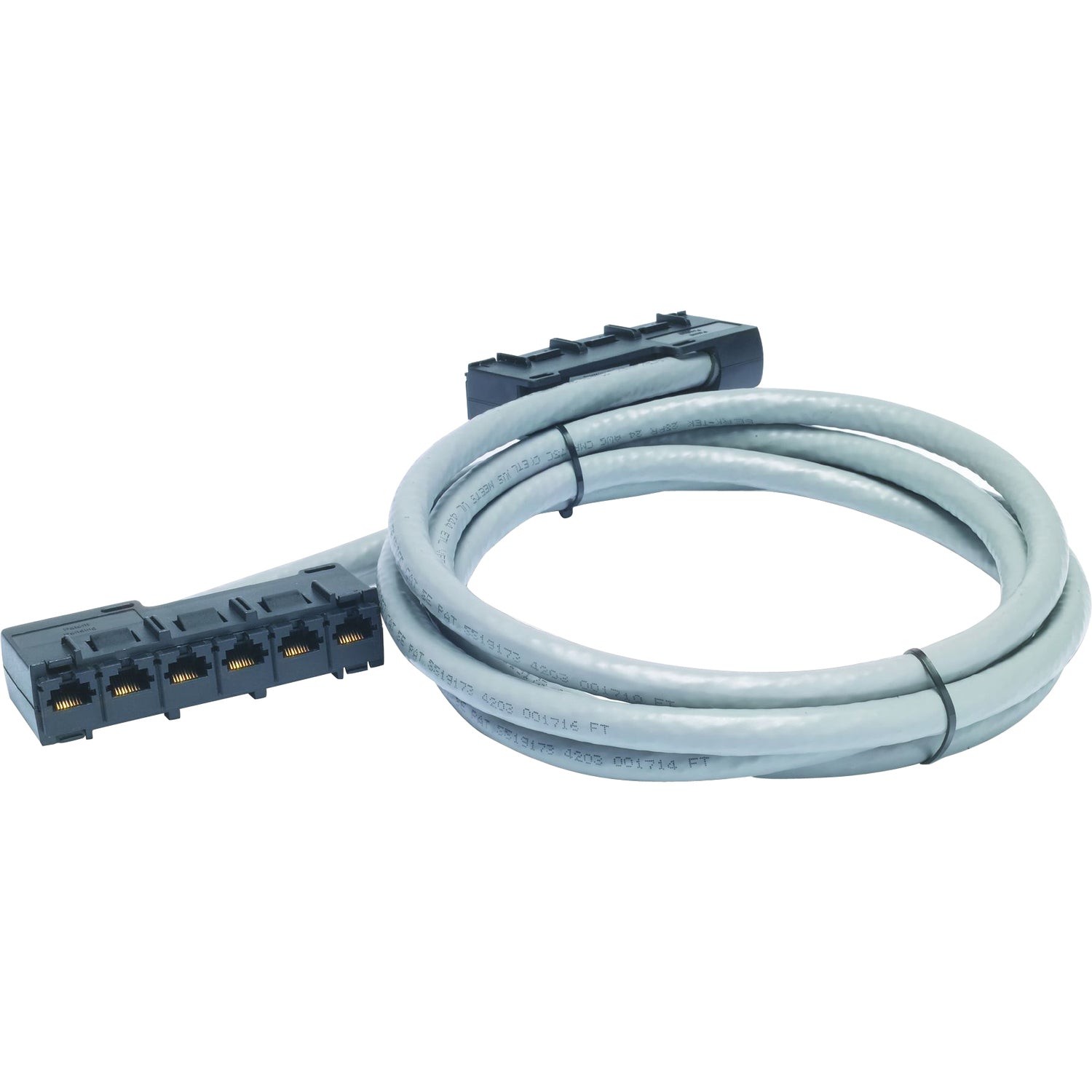 APC by Schneider Electric Cat5e CMR Data Distribution Cable - 61 ft Category 5e Network Cable - First End: 6 x RJ-45 - Female - Second End: 6 x RJ-45 - Female - Gray - 1 Each