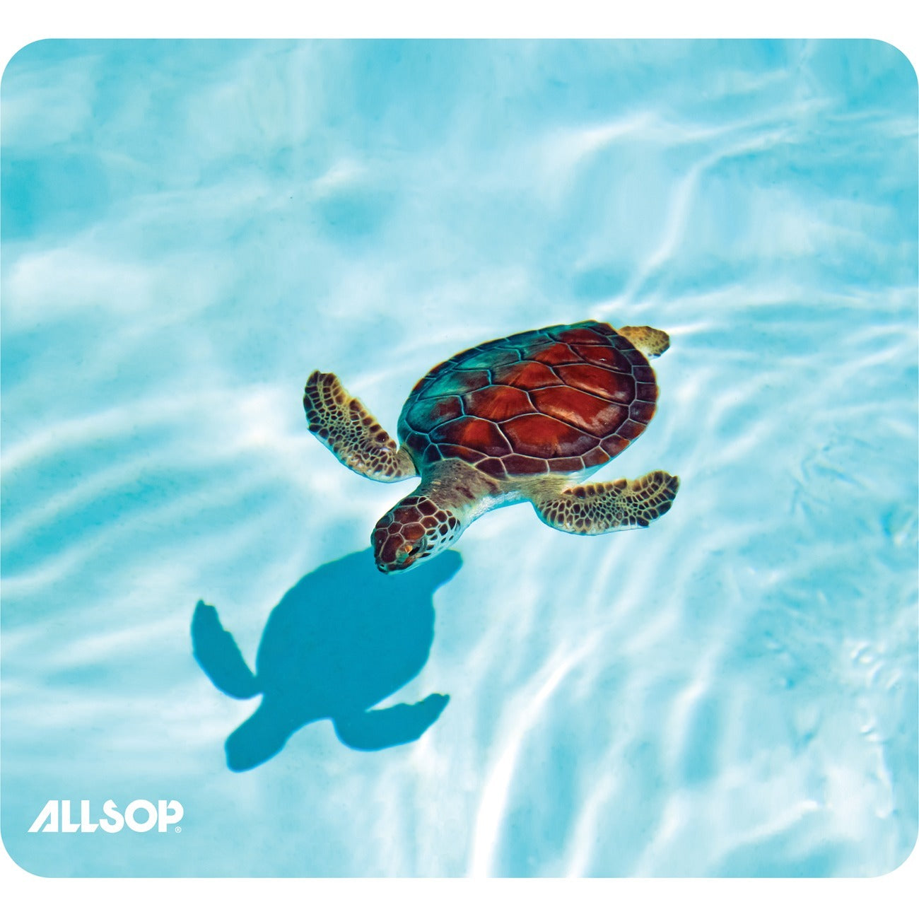 Turtle - 0.10" Height x 8.50" Width - Latex, Natural Rubber - Skid Proof - 1 Each