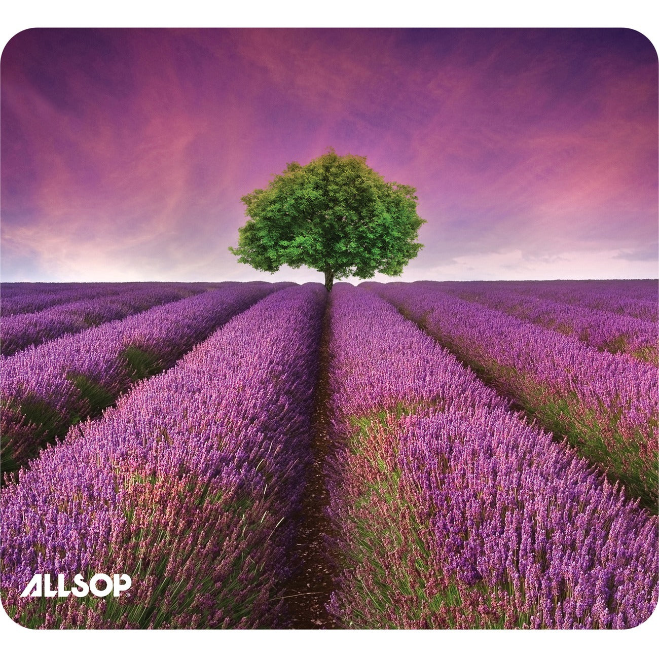 Lavender Field - 0.10" Height x 8.50" Width - Natural Rubber, Latex - 1 Each