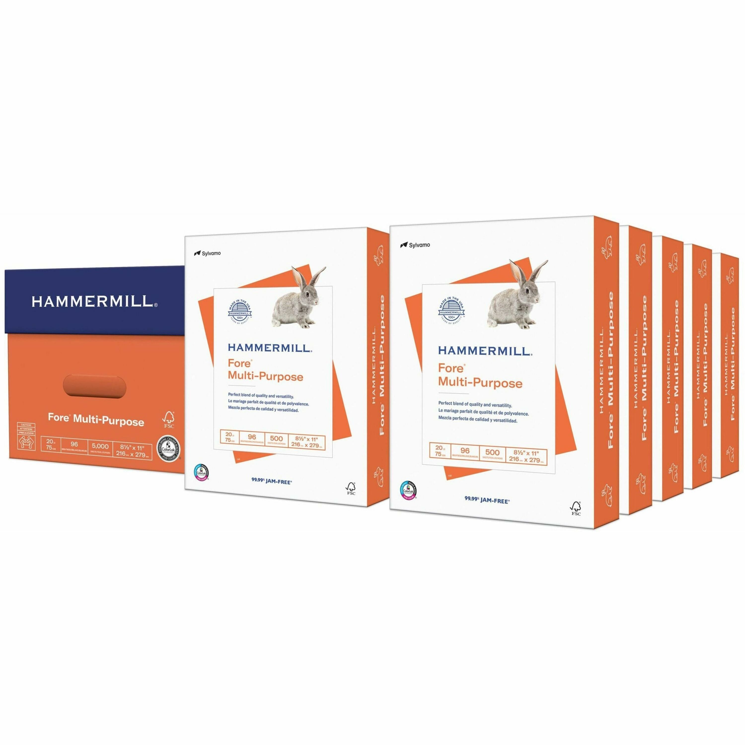 Hammermill Fore Multipurpose Copy Paper - White - 96 Brightness - Letter - 8 1/2" x 11" - 20 lb Basis Weight - Acid-free - White - 500 Sheets per Ream - 10 / Carton