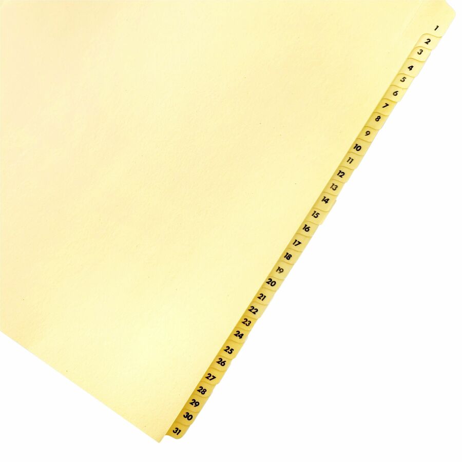 Business Source Preprinted 1-31 Tab Index Dividers