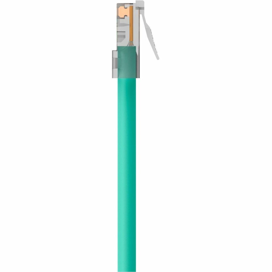 Belkin CAT6 Ethernet Patch Cable, RJ45, M/M - 15 ft Category 6 Network Cable for Network Device - First End: 1 x RJ-45 Network - Male - Second End: 1 x RJ-45 Network - Male - Patch Cable - Gold Plated Connector - Green - 1 Each