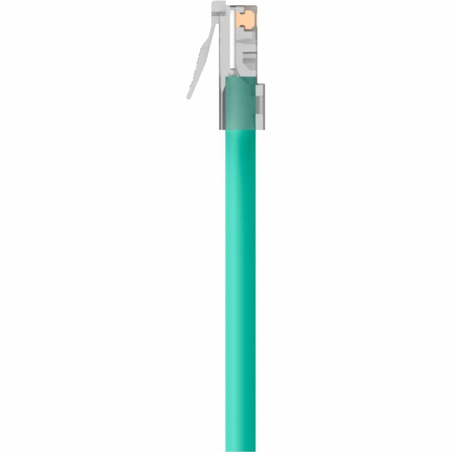 Belkin CAT6 Ethernet Patch Cable, RJ45, M/M - 15 ft Category 6 Network Cable for Network Device - First End: 1 x RJ-45 Network - Male - Second End: 1 x RJ-45 Network - Male - Patch Cable - Gold Plated Connector - Green - 1 Each