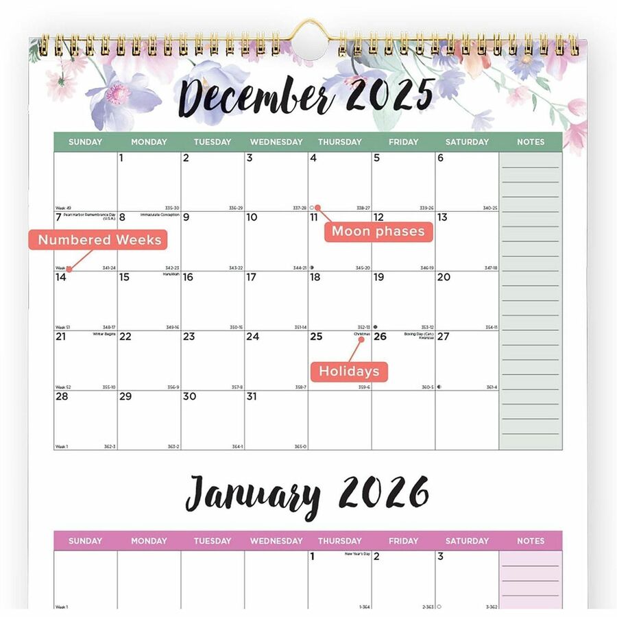 Blueline 3-Month Colorful Wall Calendar