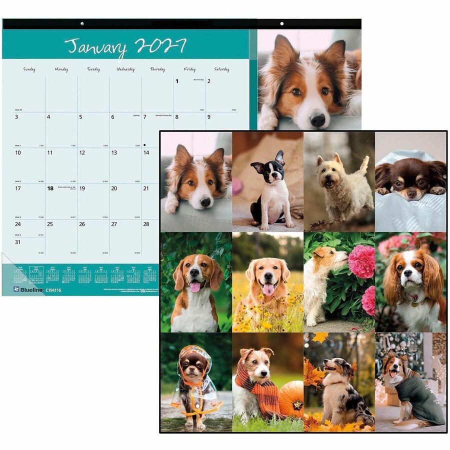 Blueline Man's Best Friend Dogs Desk Pad Calendar