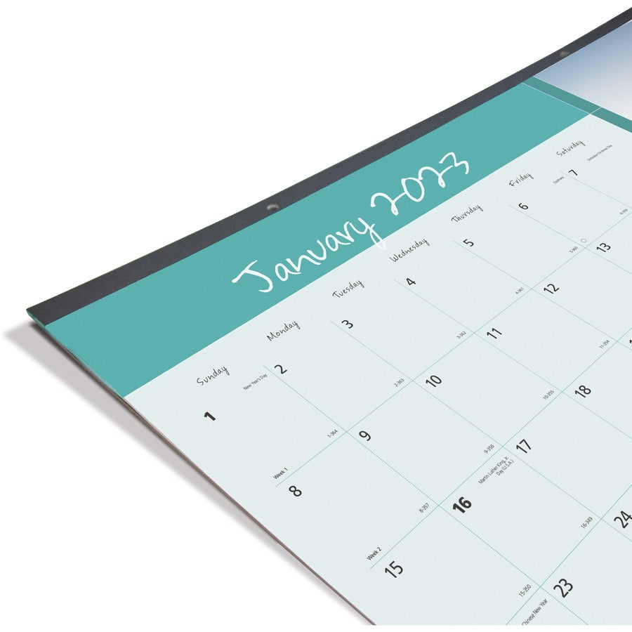 Blueline Man's Best Friend Dogs Desk Pad Calendar