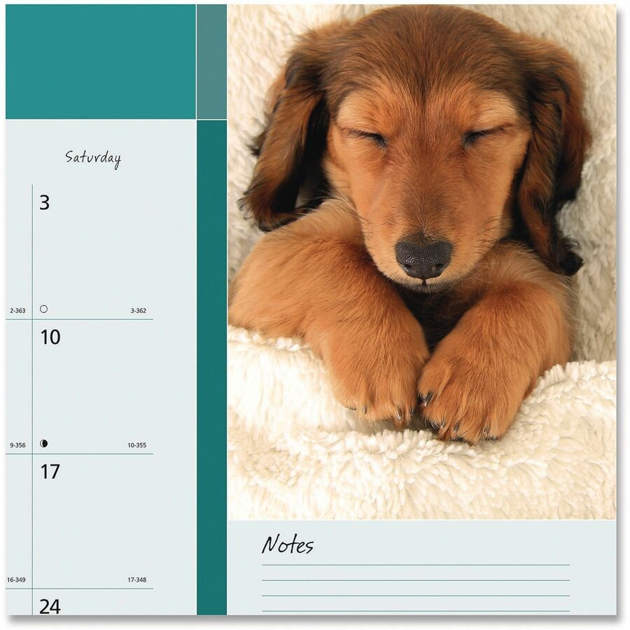 Blueline Man's Best Friend Dogs Desk Pad Calendar