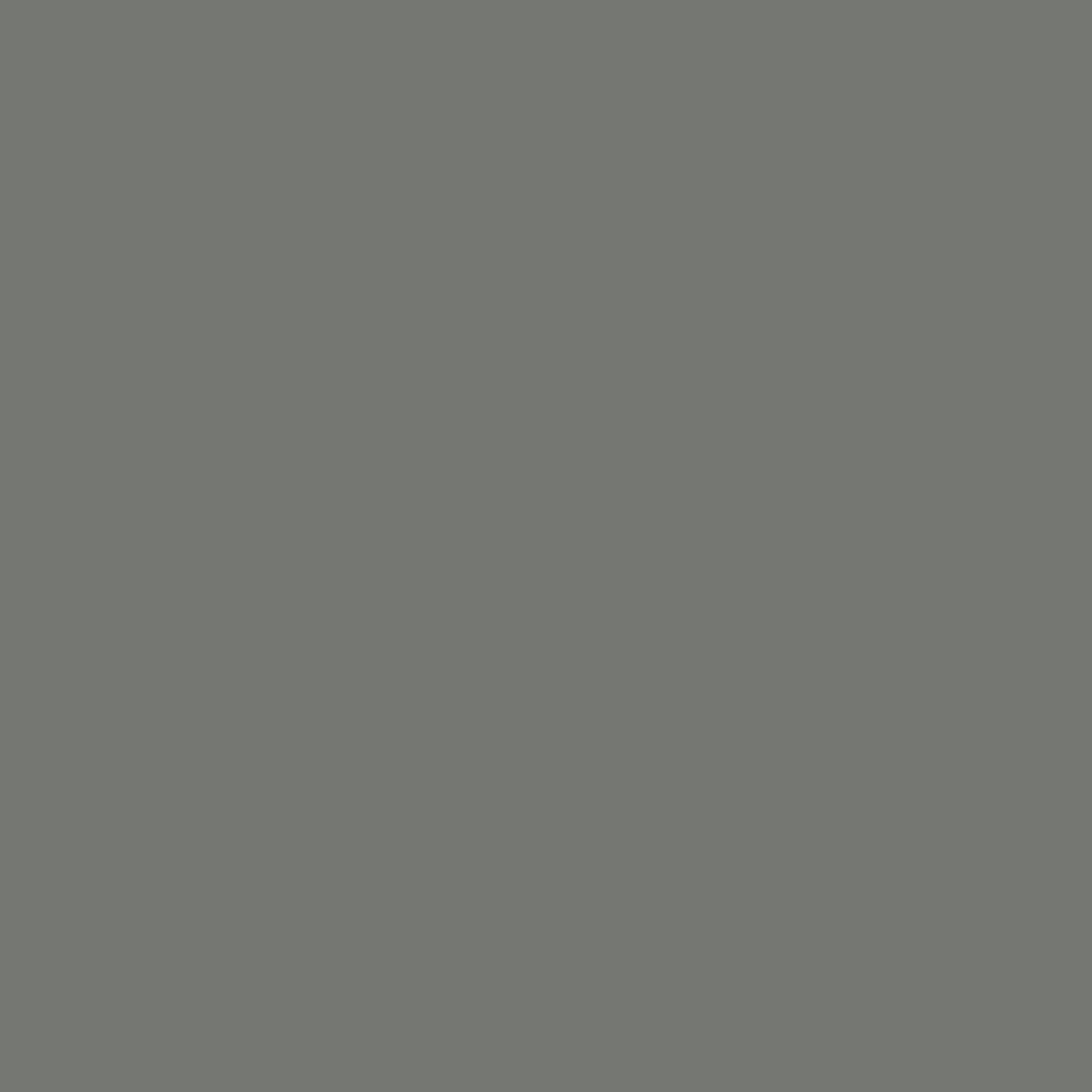Acrylic Paint Matte, 16oz., Pewter Gray