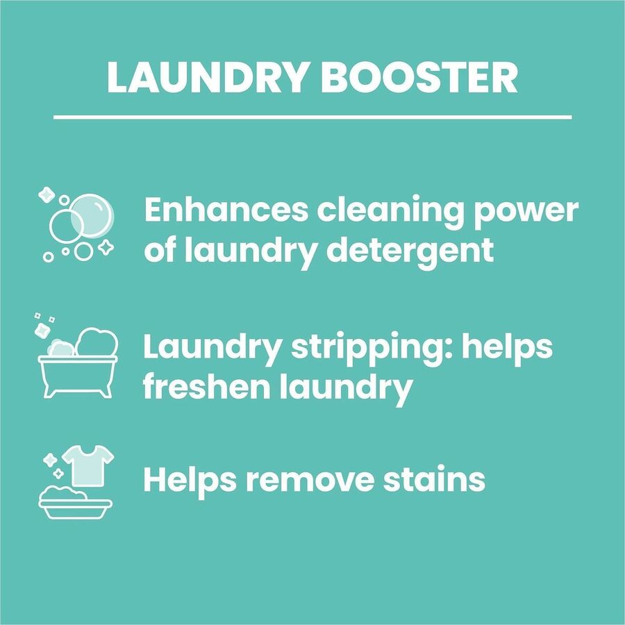 BORAX All Natural Laundry Booster - pH Balanced - Natural - 1 Each