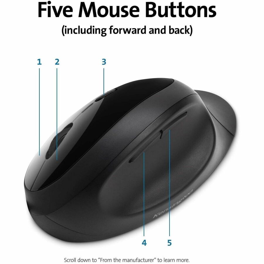 Wireless Bluetooth/RF - Wireless Bluetooth/RF - Compatible with Computer - 1 Each